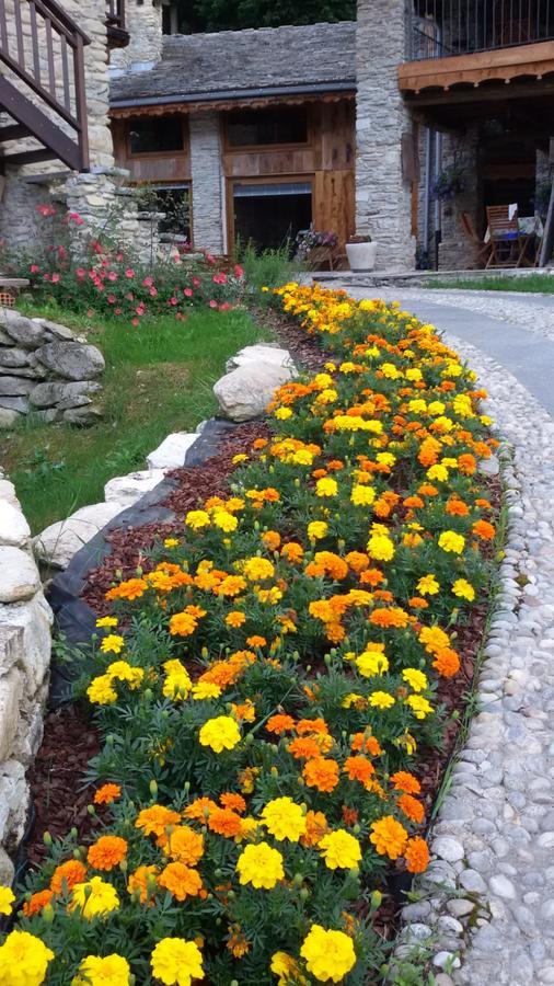 Il Sogno Della Vita Agriresort - Country Rooms & Suites Peveragno Exterior foto